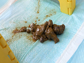 うんこ後おしっこ時々おなら　サンプル画像10